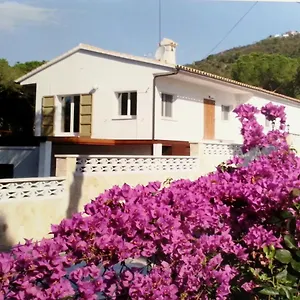 https://villa-felices-juntos.catalonia-hotels.com